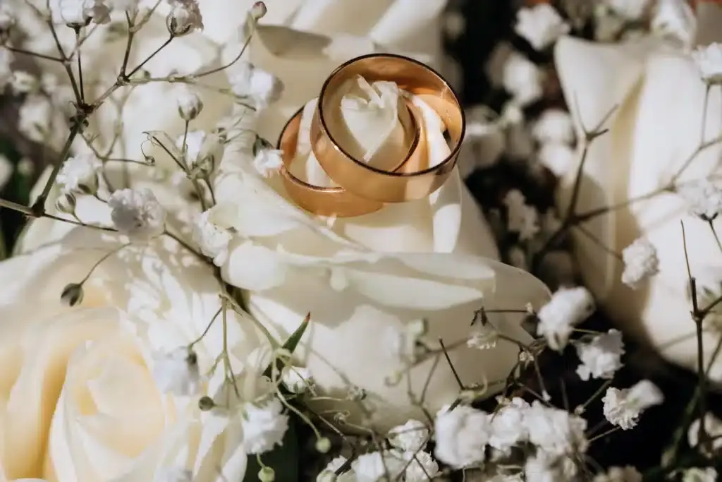alliances de mariage sur roses blanches